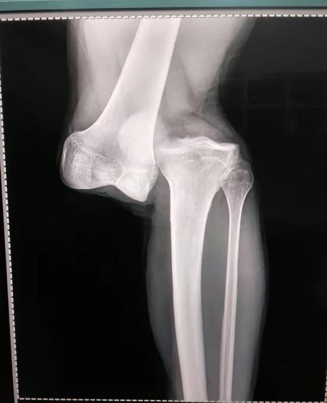 1691309442654018314.jpeg 1691309442654018314.jpeg